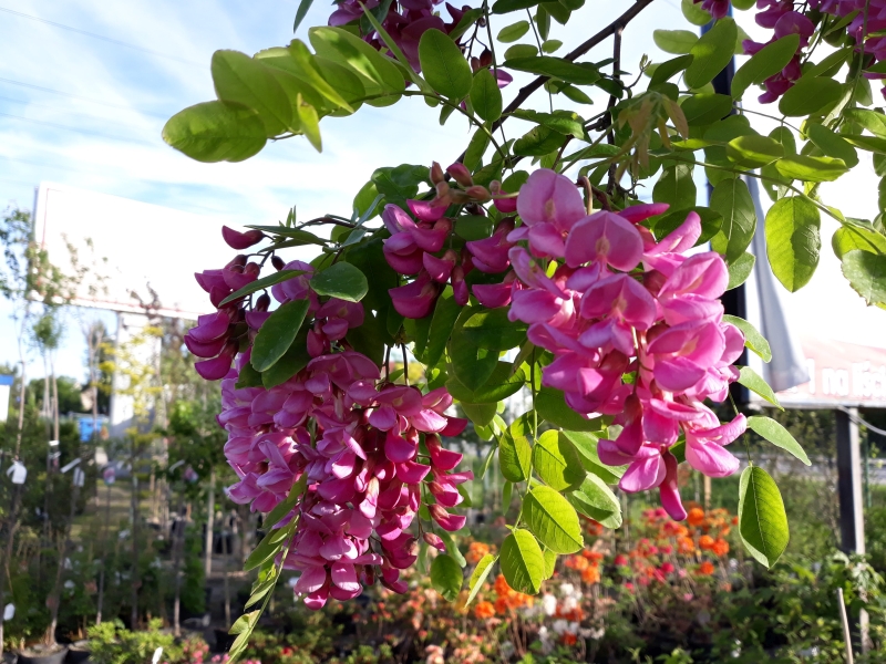 Punkt sprzedaży – ekspozycja